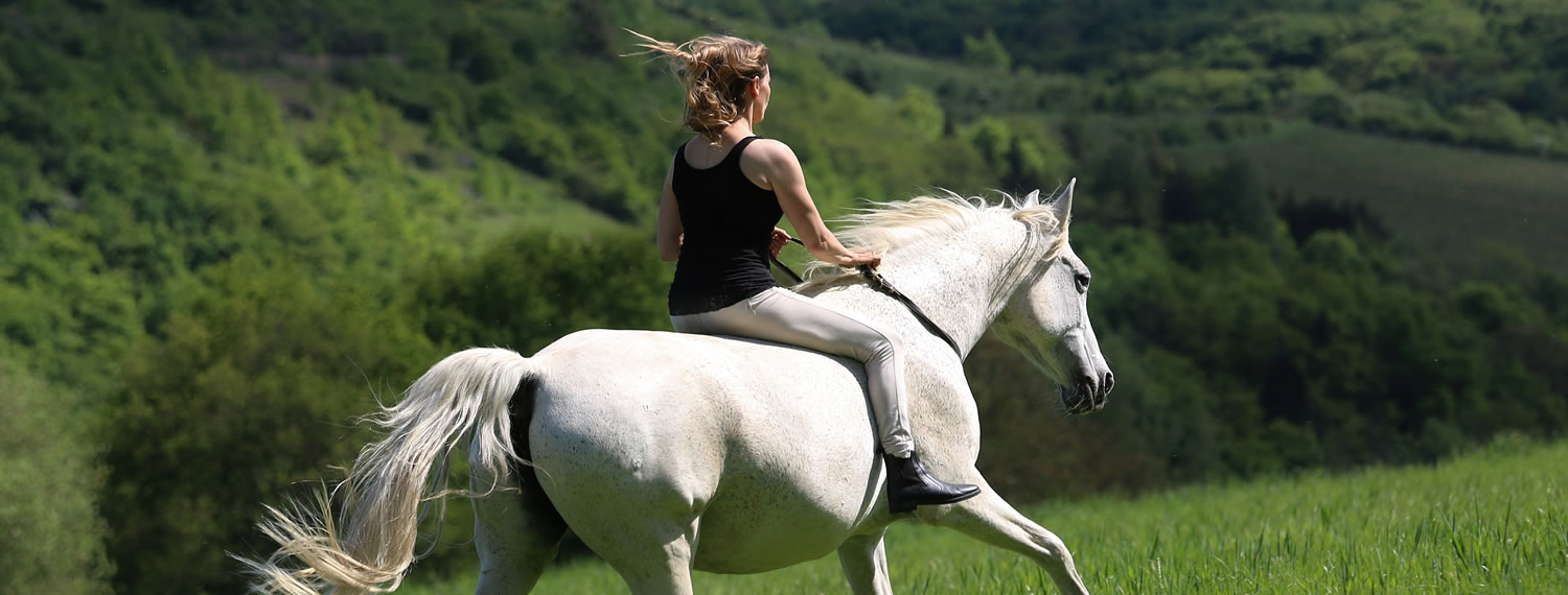Team Enjoy - Martina Kohn mit Pferd